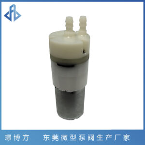 JSB370D01微型止逆水泵细嘴款